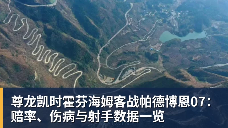 尊龙凯时霍芬海姆客战帕德博恩07:赔率、伤病与射手数据一览