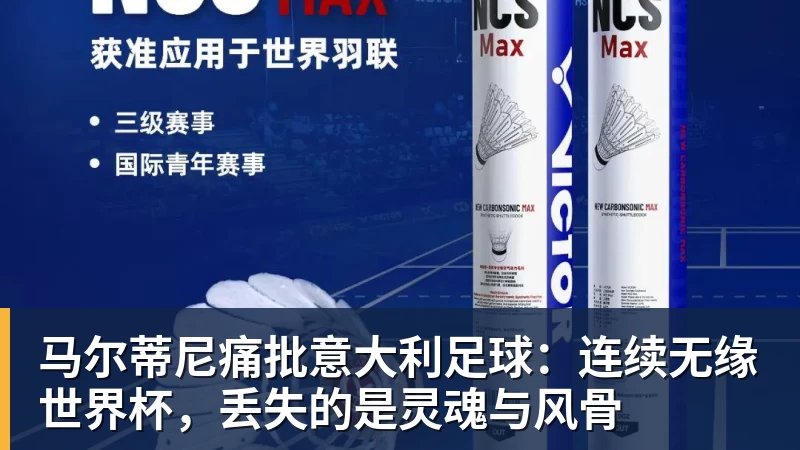 马尔蒂尼痛批意大利足球：连续无缘世界杯，丢失的是灵魂与风骨